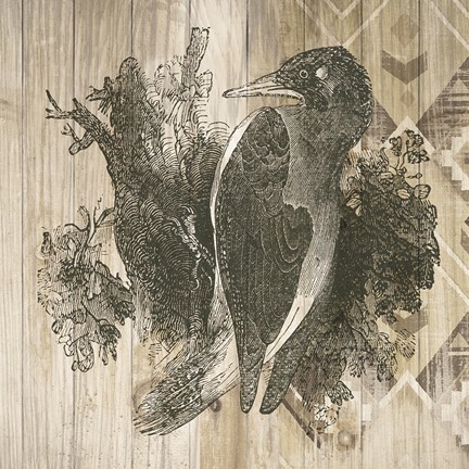 Framed Natural History Lodge VI Print