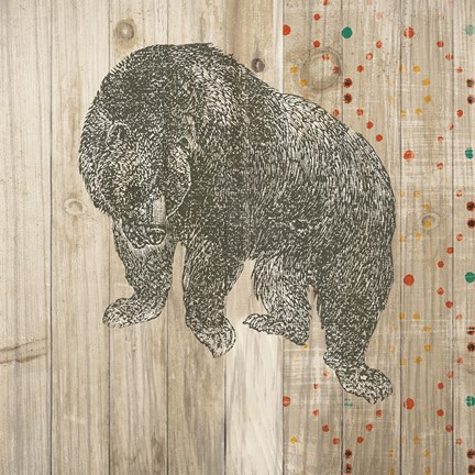 Framed Natural History Lodge Southwest IV Print