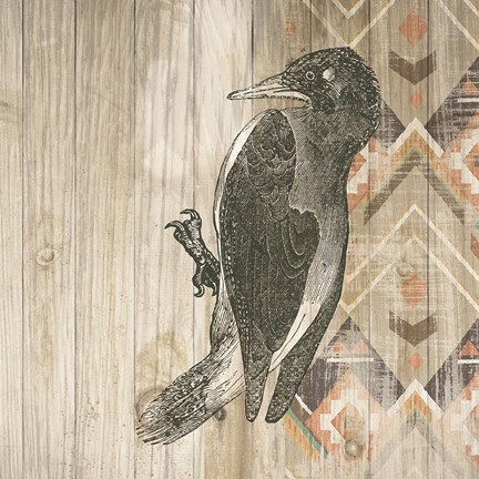 Framed Natural History Lodge Southwest VI Print