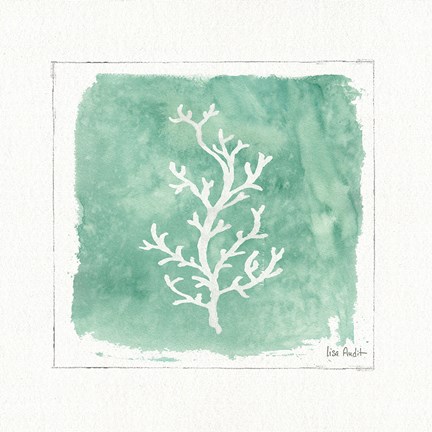 Framed Water Coral IV Print
