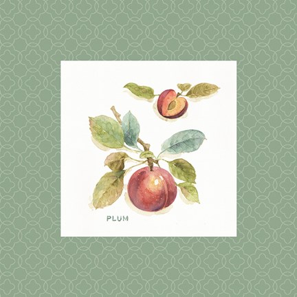 Framed Orchard Bloom IV Border Print