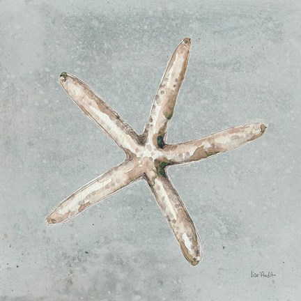 Framed Sand and Seashells III Print