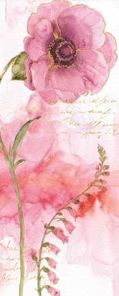 Framed Rainbow Seeds Absract Floral II Print