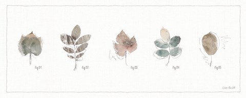 Framed Woodland Walk XV Print