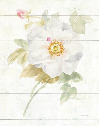 Framed June Blooms III Print