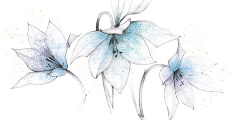 Framed Blue Graphite Floral Trio Print