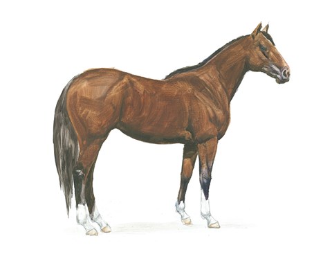 Framed Natural Charm I Print