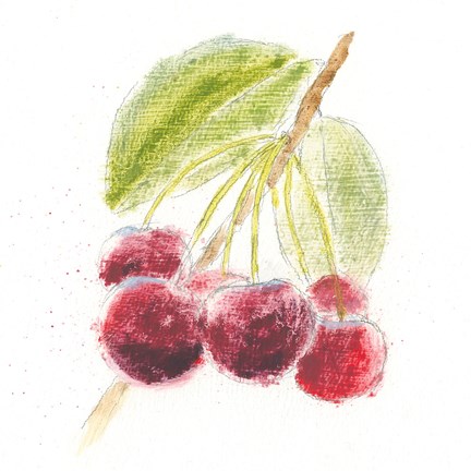 Framed Garden Delight III Print