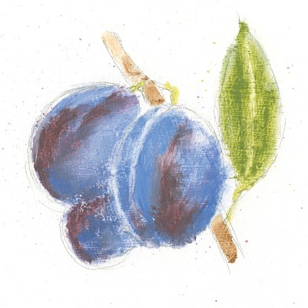 Framed Garden Delight VI Print