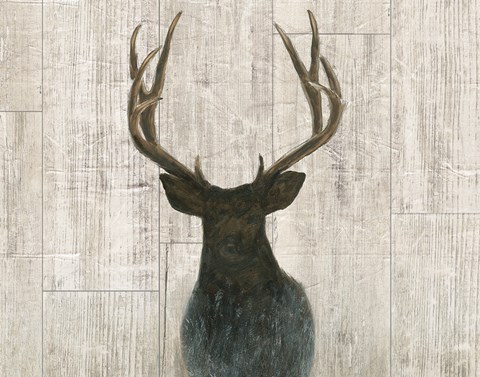 Framed Into the Forest Birch Print