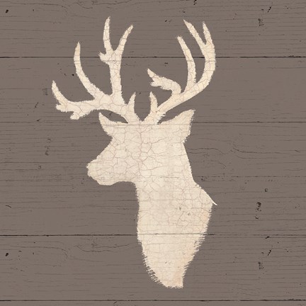 Framed Rustic Elegance II on Gray Wood Print