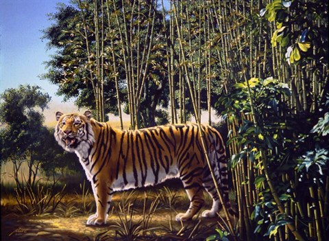 Framed Hidden Tiger Print