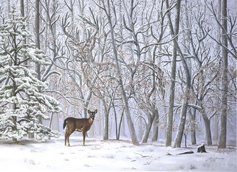 Framed Big Buck Print