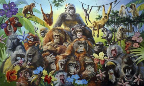 Framed Primates Print