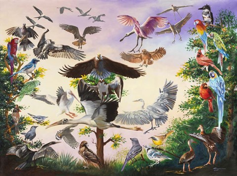 Framed Bird Feeder Print