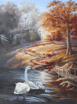 Framed Swans Print