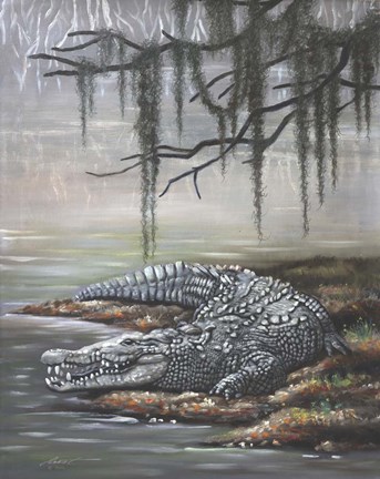 Framed American Crocodile Print
