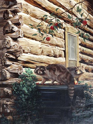 Framed Raccoons, Cabin Print