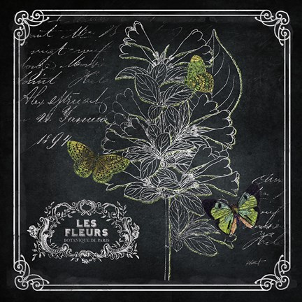 Framed Chalkboard Botanical II Print