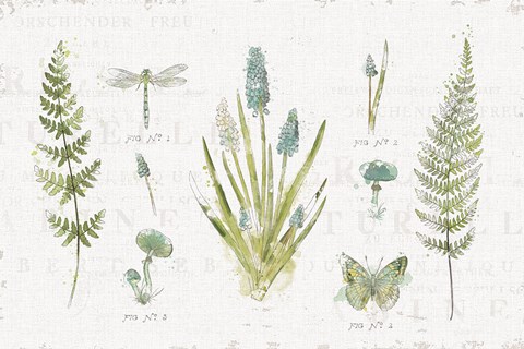 Framed In the Forest I Print