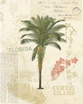 Framed Floridian II Print