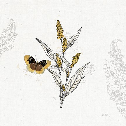 Framed Harvest Fields II Print