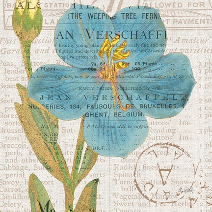 Framed Bookshelf Botanical VI Print