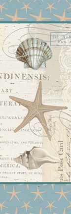 Framed Beach Wonders V Print