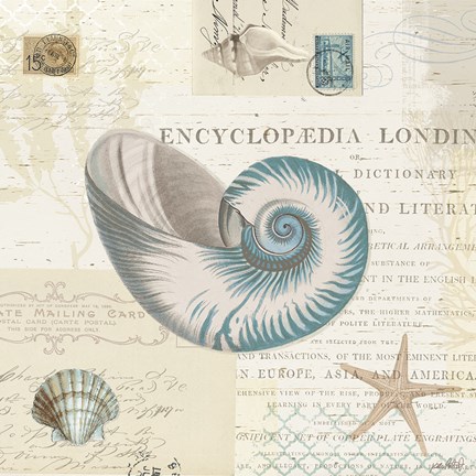 Framed Beach Wonders III No Butterflies Print