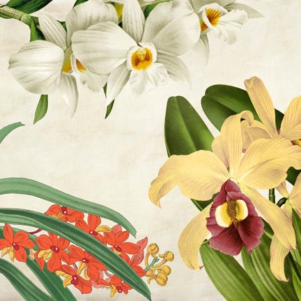 Framed Panneau Botanique VIII Print