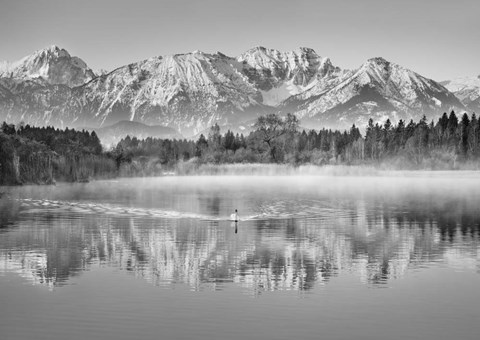 Framed Allgaeu Alps and Hopfensee lake, Bavaria, Germany (BW) Print