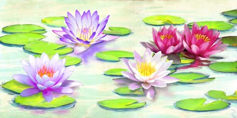 Framed Nympheas Print