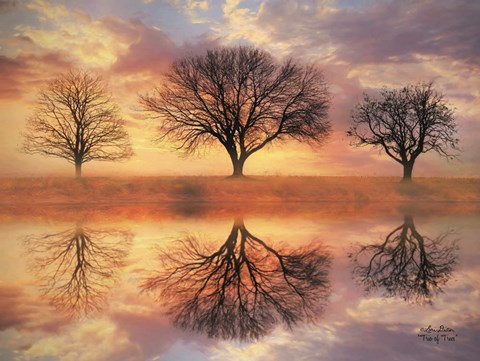 Framed Trio of Trees Print
