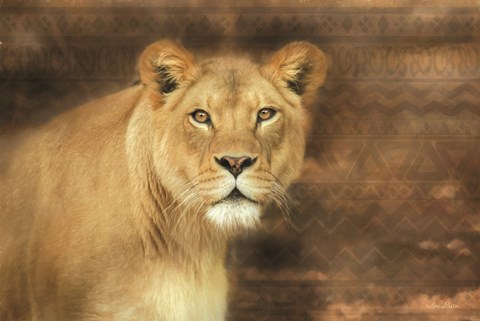 Framed Tribal Lioness Print