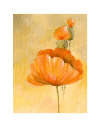 Framed Red Poppies IV Print