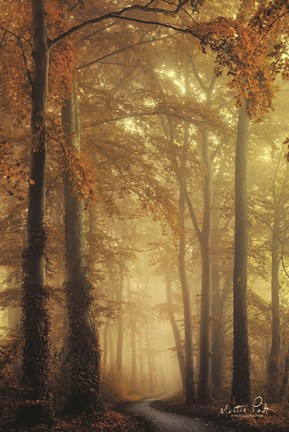 Framed Path of Liberation Print