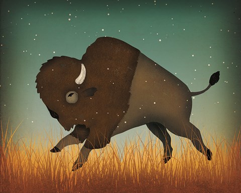 Framed Buffalo Bison II Print