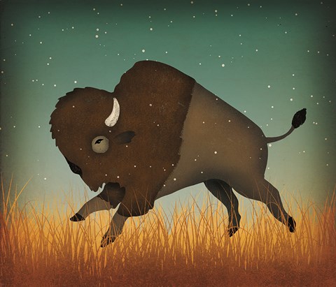 Framed Buffalo Bison II Print