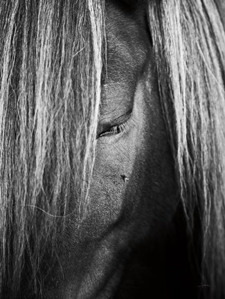 Framed Shy Crop Print