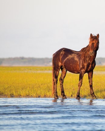 Framed By the River Print