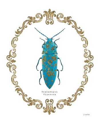 Framed Adorning Coleoptera VIII Print