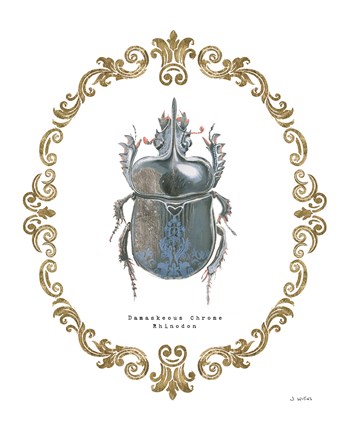 Framed Adorning Coleoptera IV Print