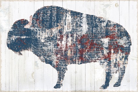 Framed Free Spirit II Red White Blue Print