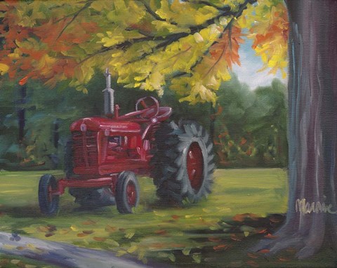 Framed Farmall Splendour Print