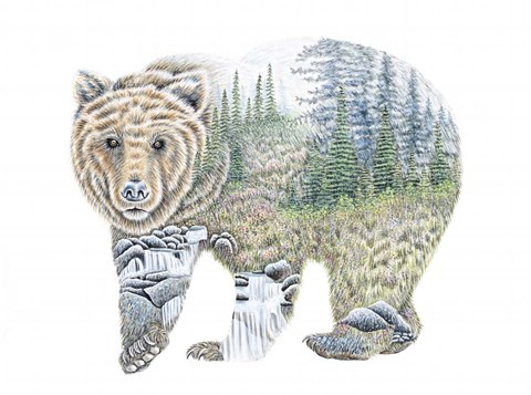 Framed Scenic Bear Print