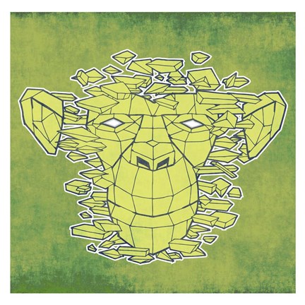 Framed Navigator Print