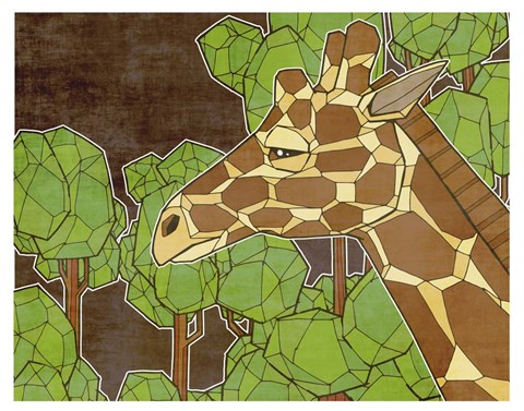 Framed Canopy Explorer Print