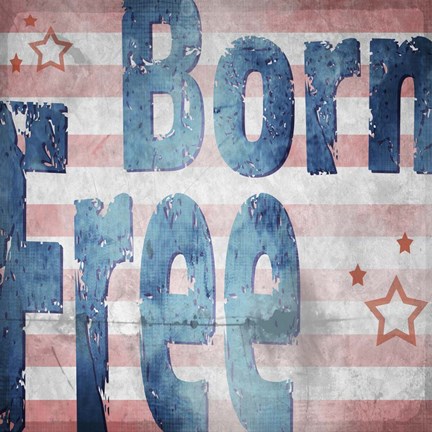 Framed American Born Free Sign Collection 1 Print