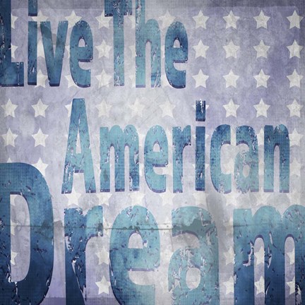 Framed American Born Free Sign Collection V1 Print