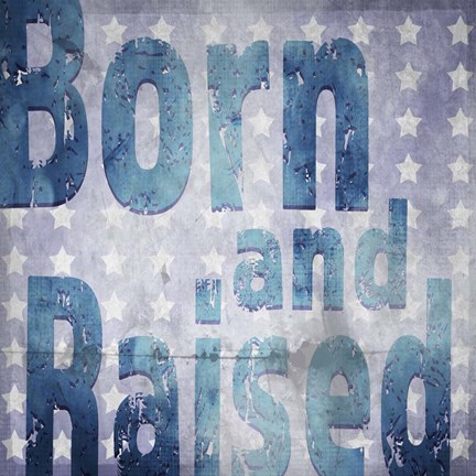 Framed American Born Free Sign Collection V3 Print